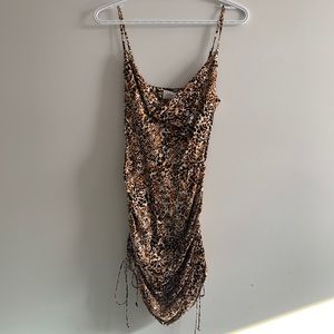 Aritzia leopard dress
